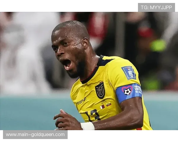 瓦伦西亚球迷挥舞白手帕抗议主帅科贝兰，主场失利引发不满